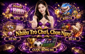 Giao diện pyhzyey trên mobile với bố cục gọn và dễ thao tác