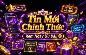 pyhzyey tin tức 2026